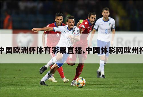 中国欧洲杯体育彩票直播,中国体彩网欧州杯